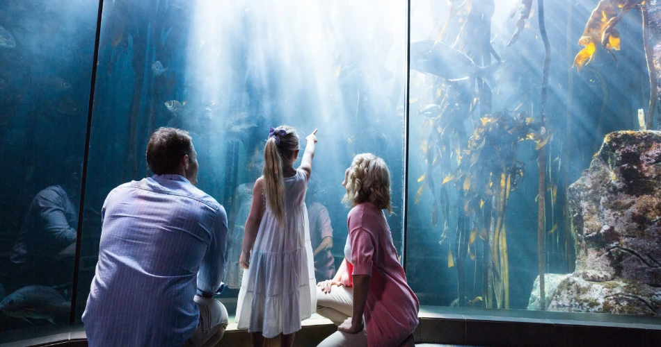 Taraporewala Aquarium: Underwater World in Mumbai